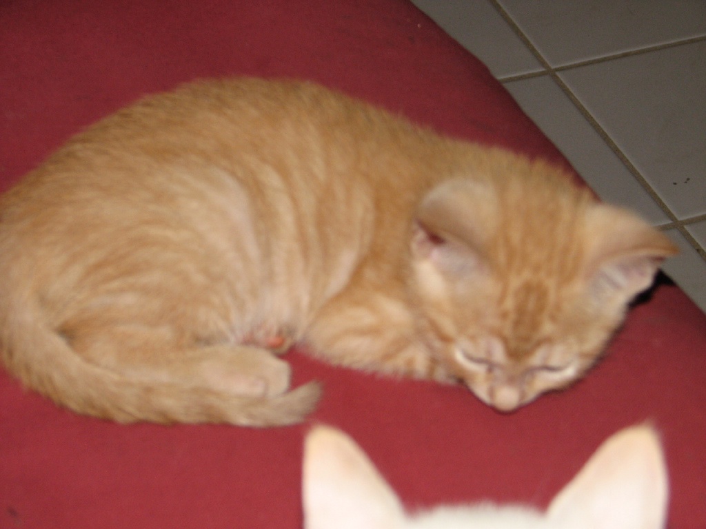20100206 446.JPG